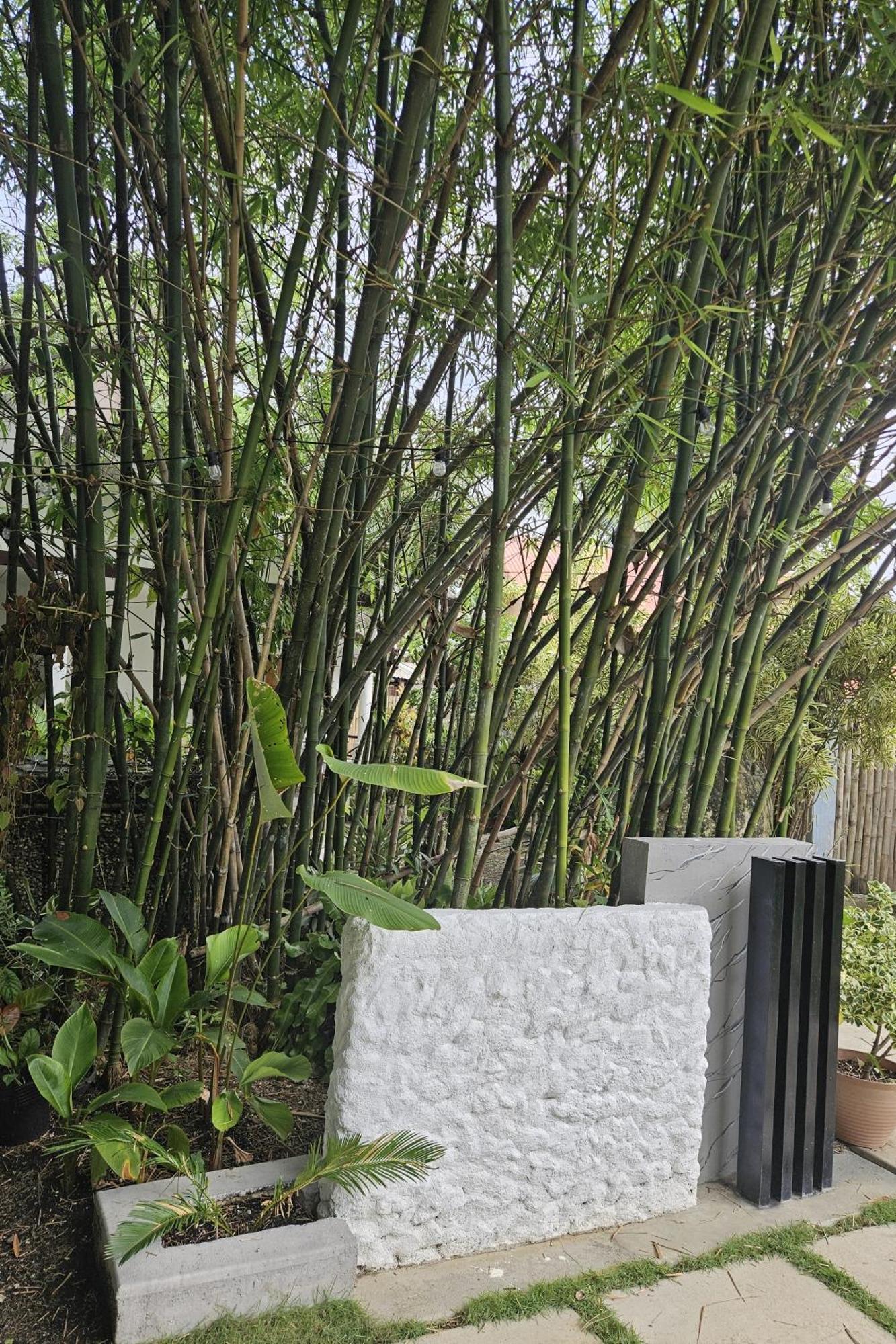 Oceanside 2 Bedroom House, 100Mbps Wifi Panglao Exterior foto